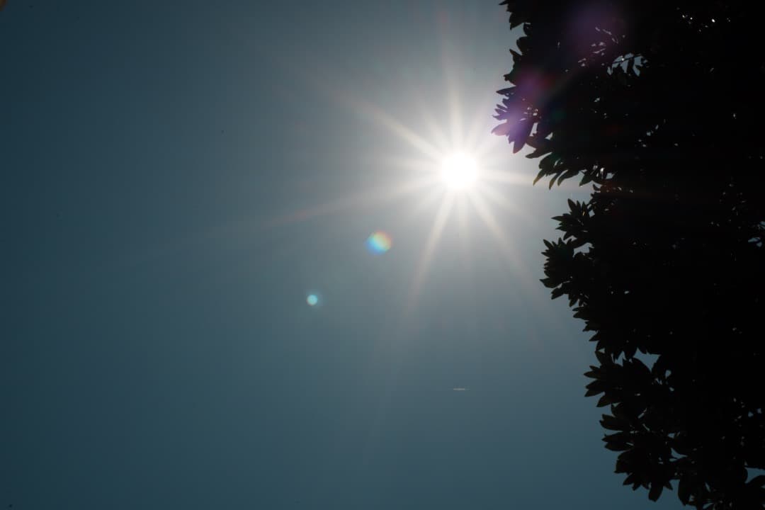 極美品 AF Ai Micor-Nikkor 60mm F2.8D 460