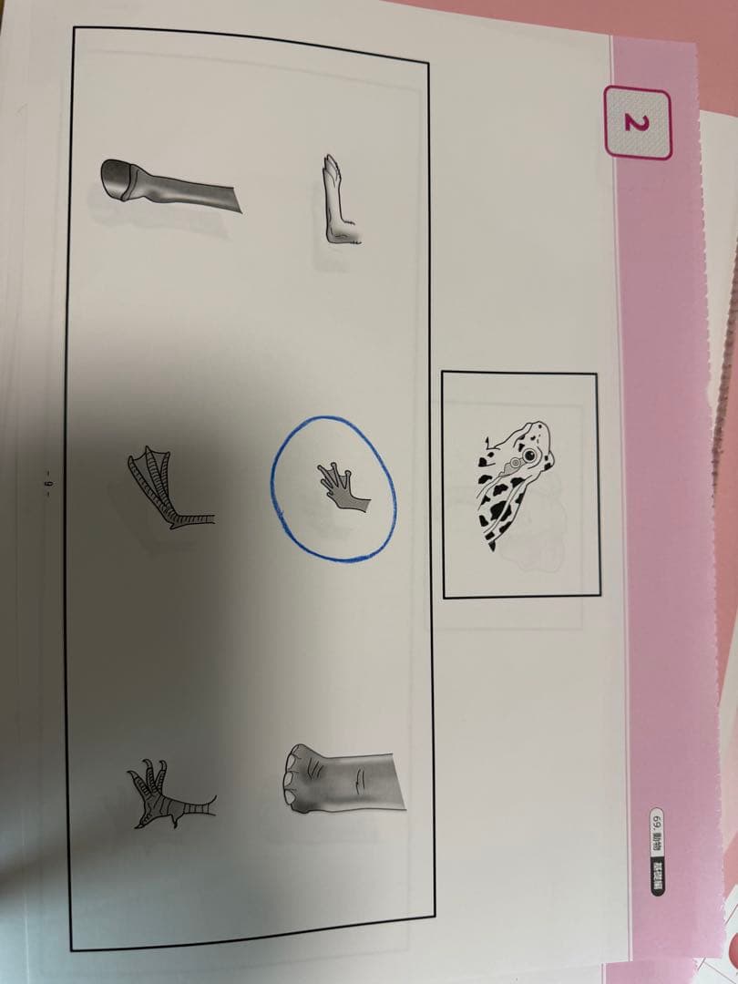 ばっちりくんドリル　10冊　不足分を合わせたデータ付き