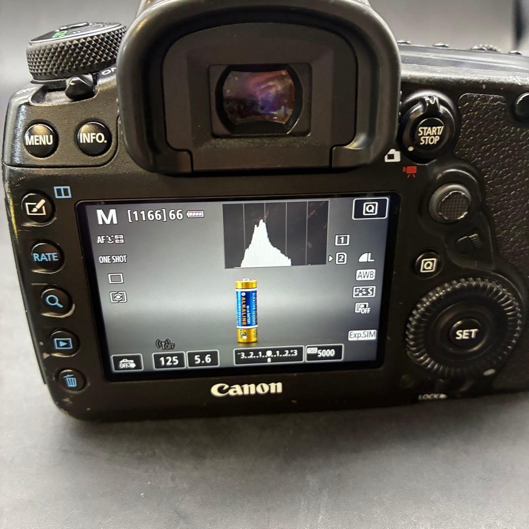 Canon EOS 5D Mark IV 本体　バッテリーセット　ジャンク
