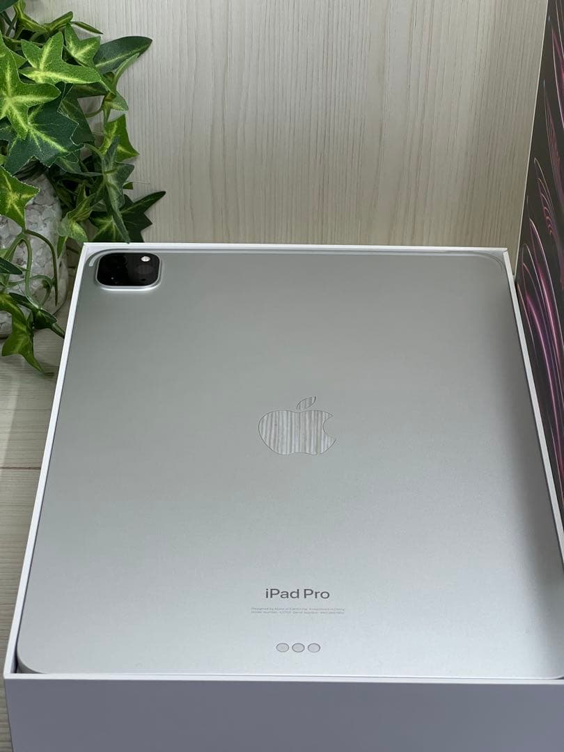 ❣️【超美品】 iPad Pro 11インチ (第4世代) 1TB