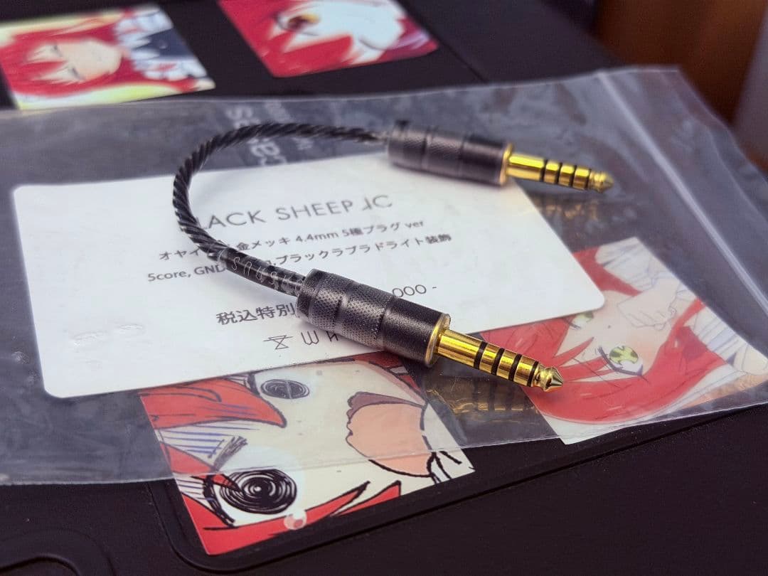 イヤホン Wagnus Black Sheep IC 4.4 to 4.4