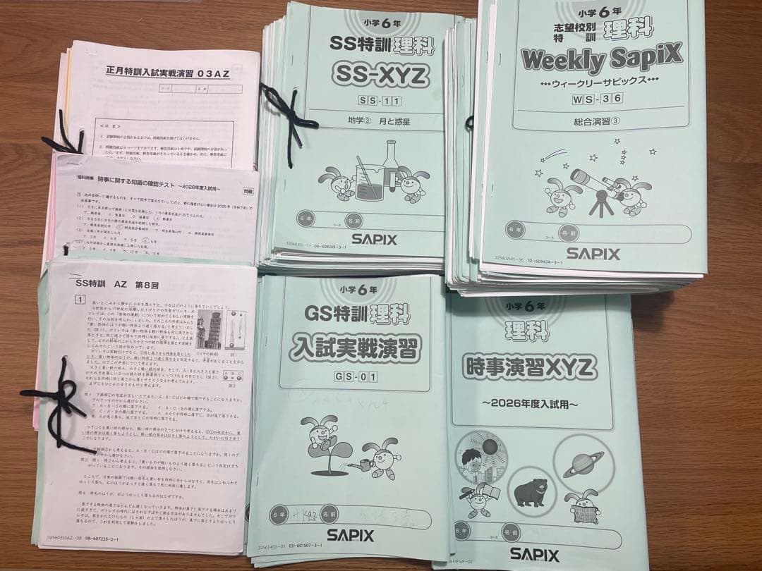 【サピックス6年生-理科特訓】