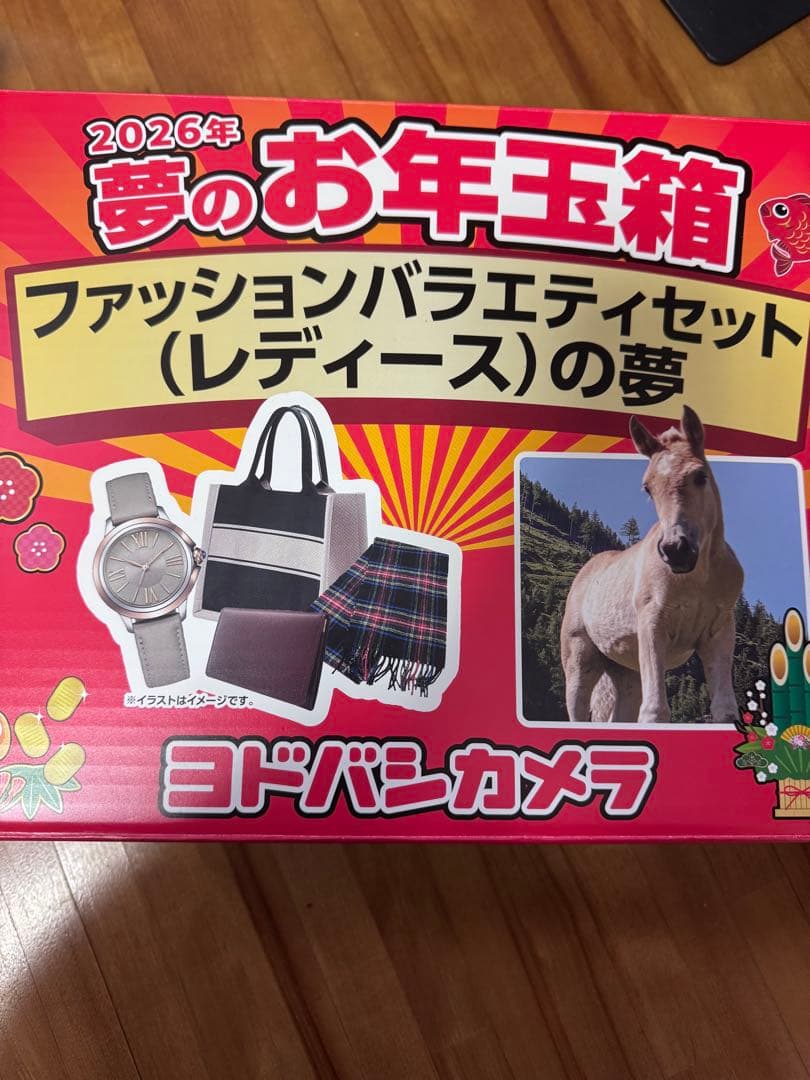 ヨドバシカメラ　福袋　ファッションバラエティセット　レディース2026 お年玉箱