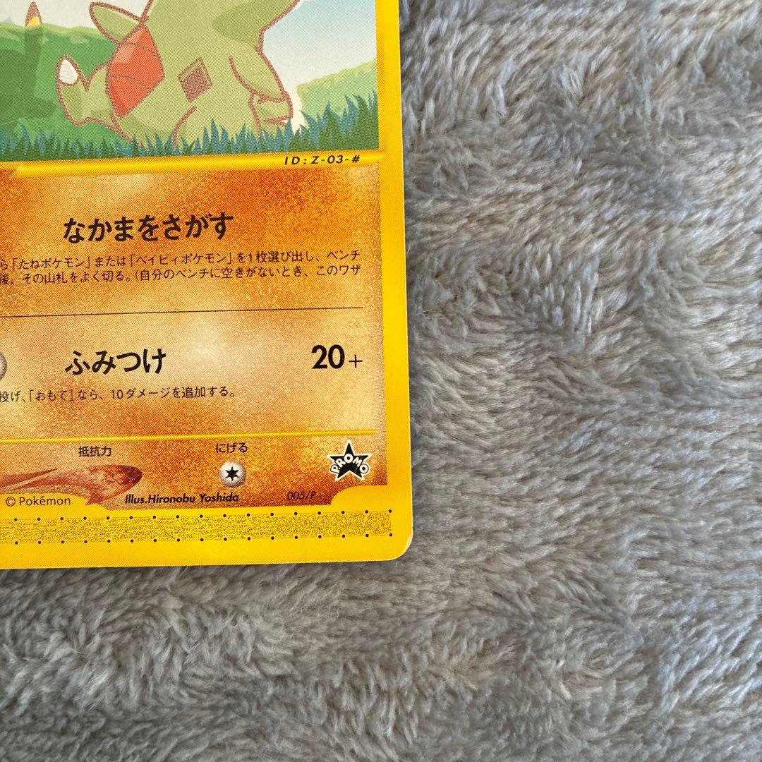 ピカチュウ ヨーギラスPROMO P - eプロモカード 004/P 005/P