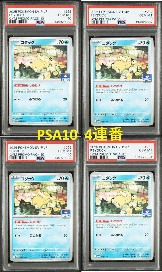 【PSA10 4連番】コダック プロモ ジムプロモ しめりけ 4枚セット