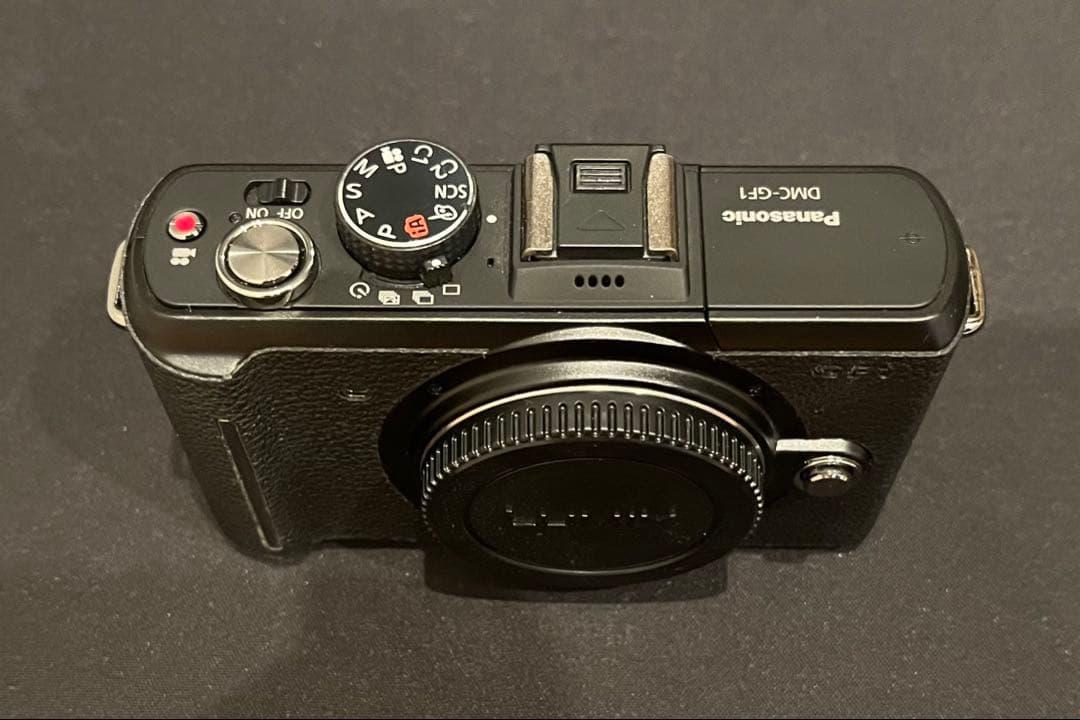 LUMIX GFI ルミックス【極美品】