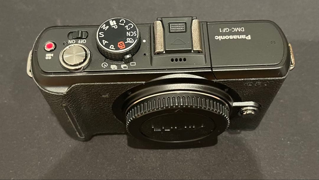 LUMIX GFI ルミックス【極美品】