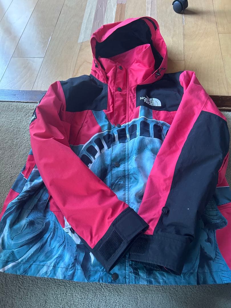 THE NORTH FACE × Supreme 自由の女神