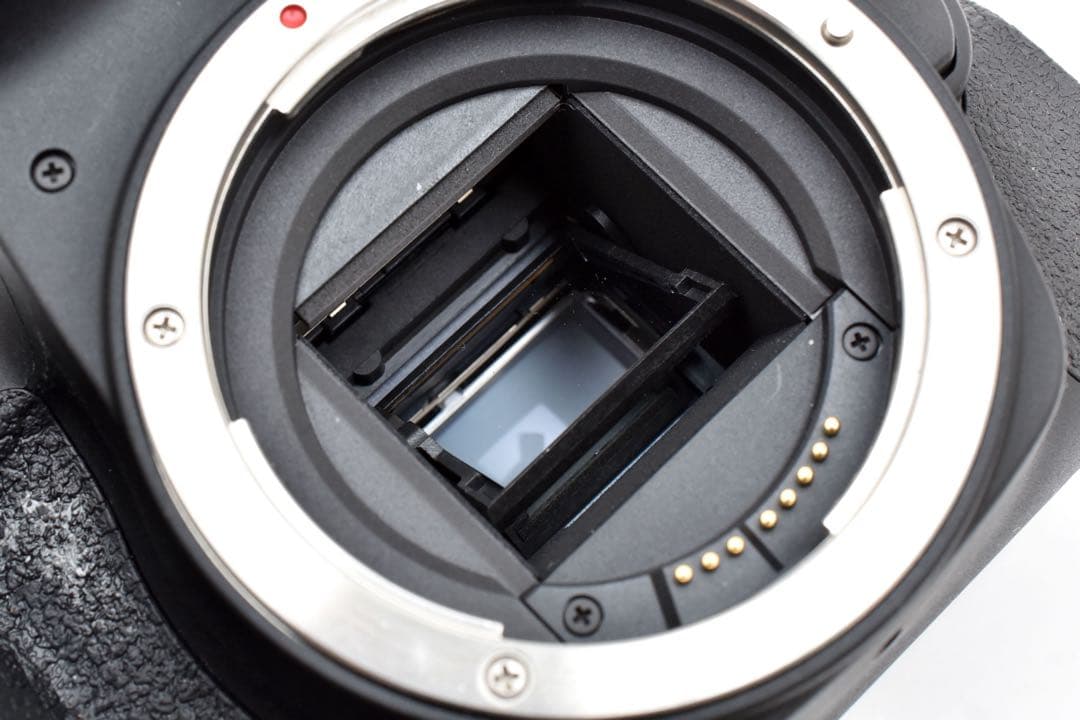 CANON EOS Kiss X10i標準&望遠ダブルレンズセット