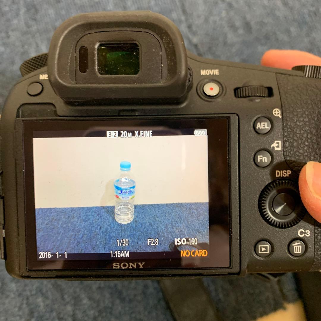 (SONY) Cyber-Shot DSC-RX10M3 バッテリー2個！！