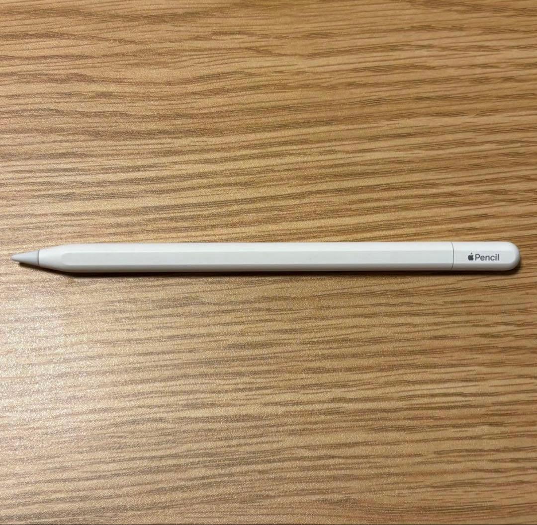 Apple Pencil (USB-C) 本体のみ 箱無し