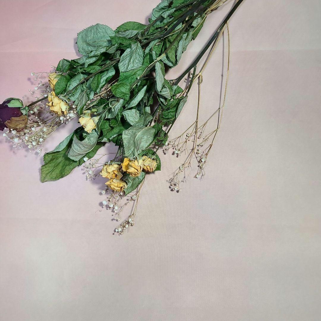 ブライスアウトフイット(roses)