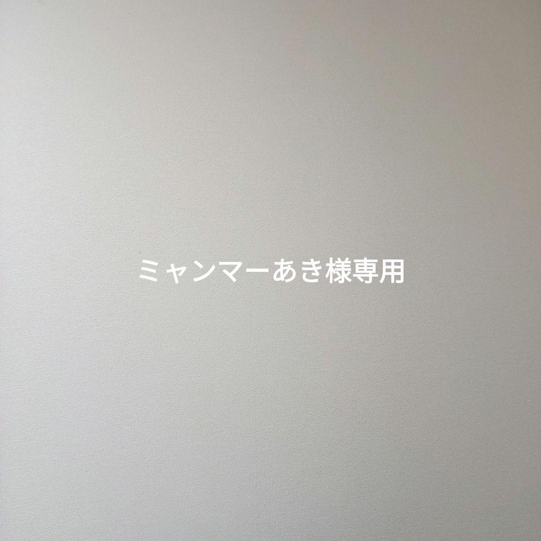 ミャンマーあき