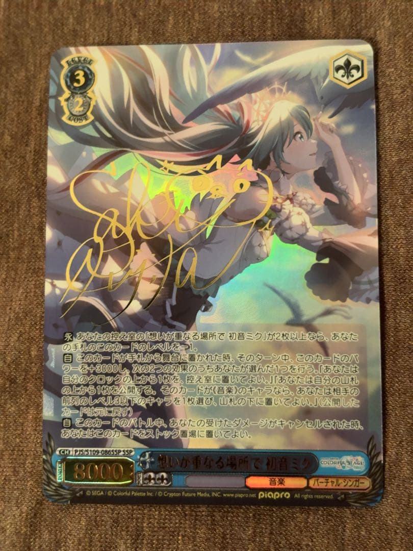 想いが重なる場所で　初音ミク　ssp