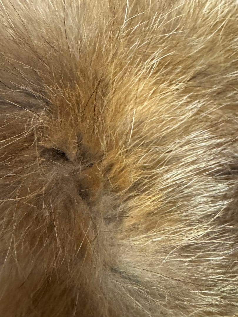 MONCLER HIRONDELLEダウンコート ファー確実正規品