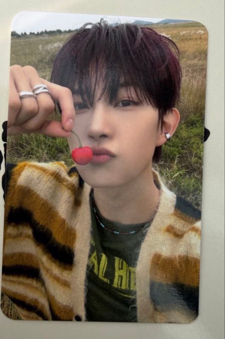 Ald1 サノク　トレカ　ゴヌ　Alpha drive one