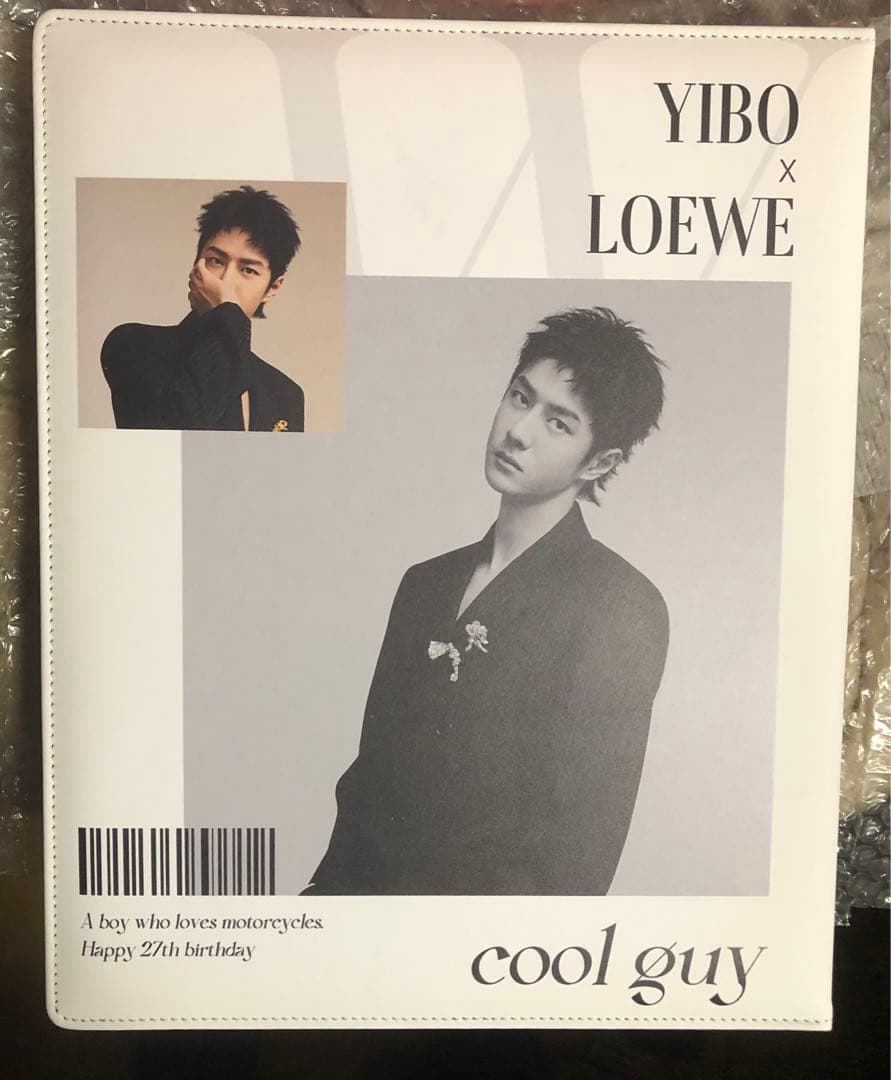 王一博 バインダー＋A4・Pカード他 カード満載アルバム