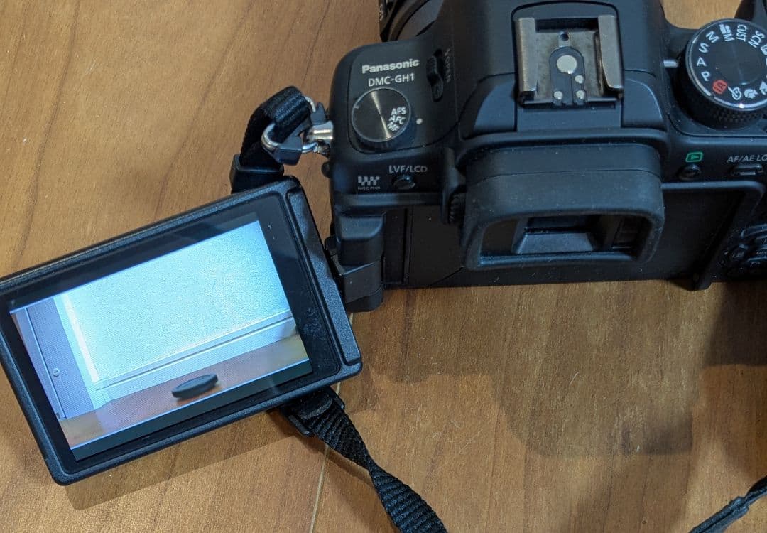 ルミックス LUMIX GH1 パナソニック ミラーレス一眼