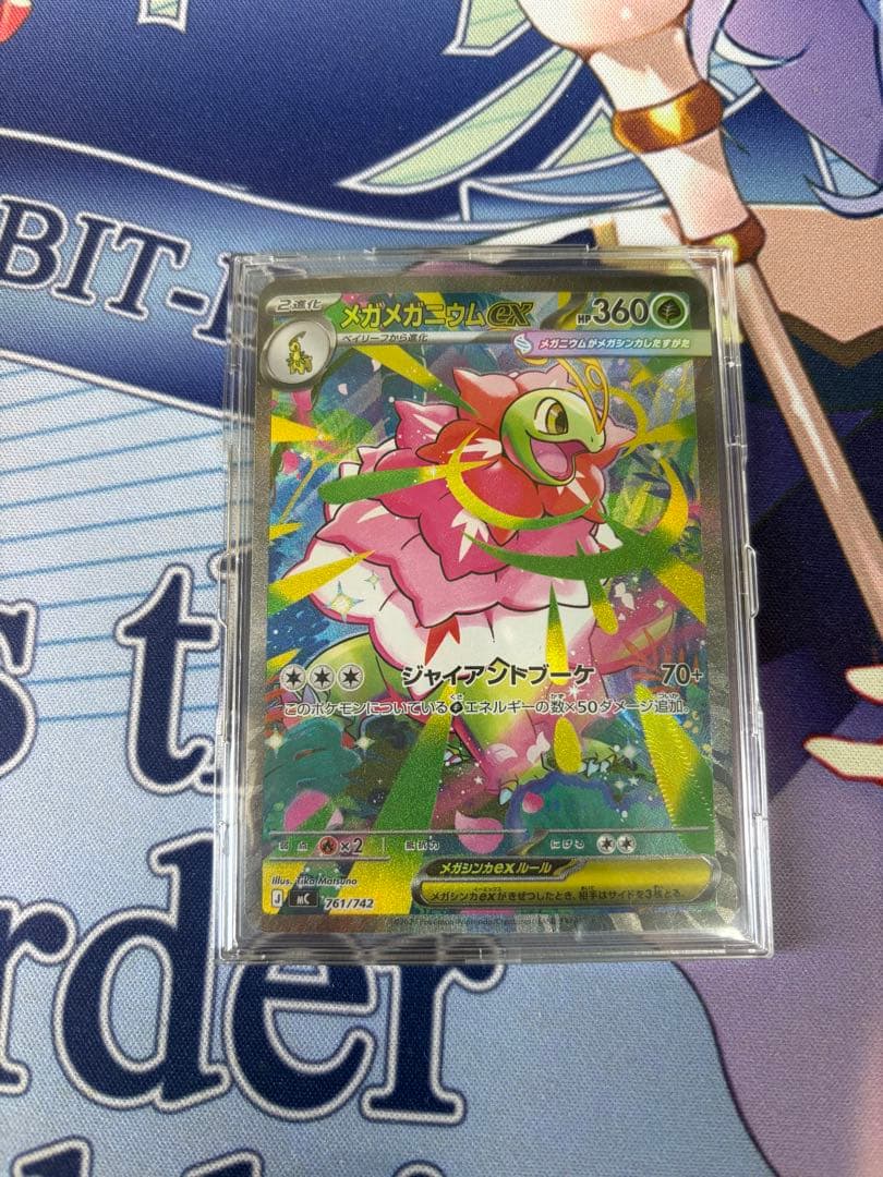 メガメガニウム　sar