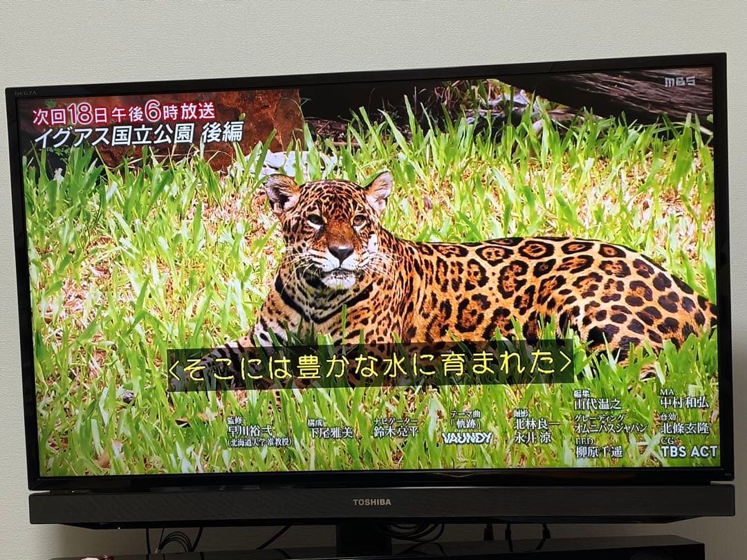 REGZAハイビジョンテレビ