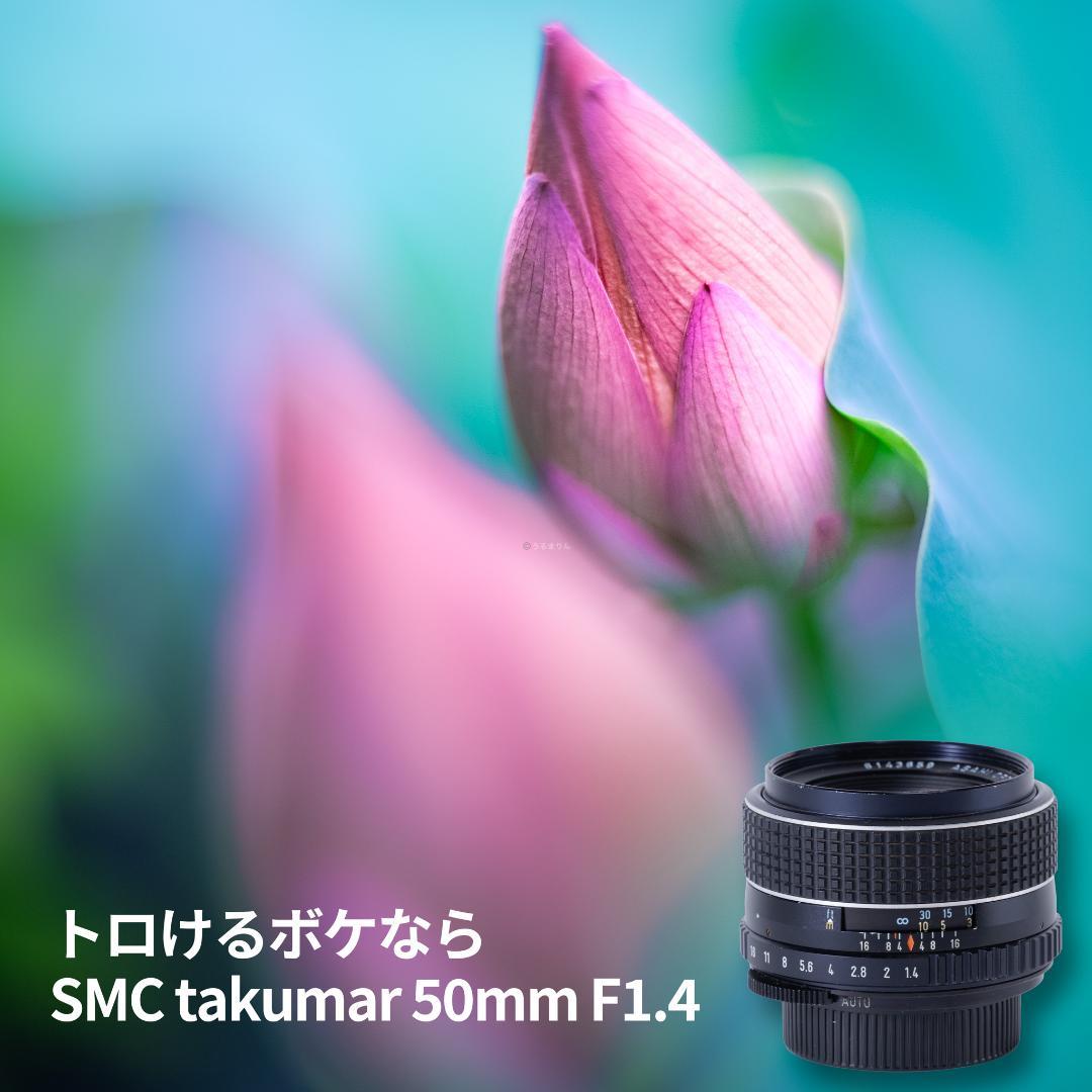 トロけるボケならF1.4！SMC takumar 50mm F1.4 M42