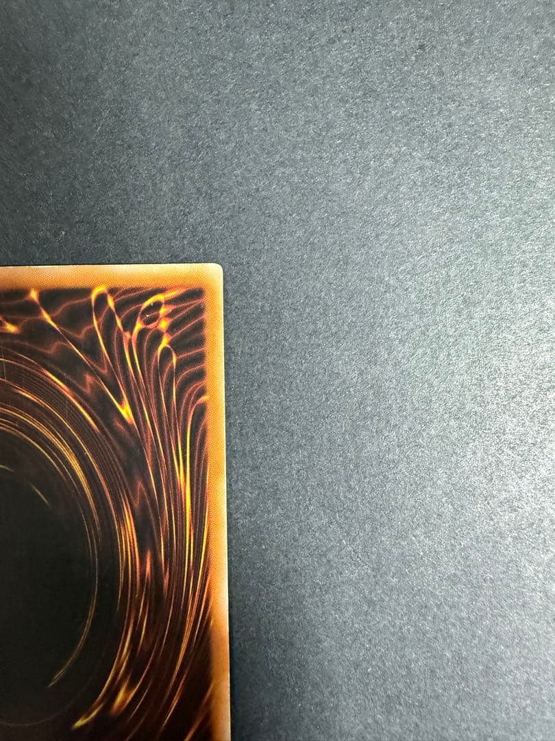 ライオウ　レリーフ　EUフランス