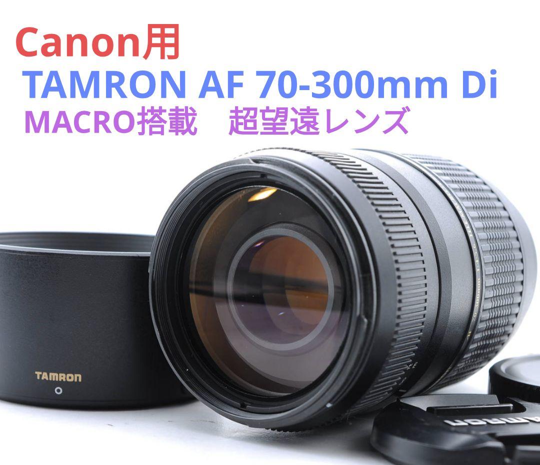 7月6日限定①OP付【Canon用】TAMRON AF 70-300mm