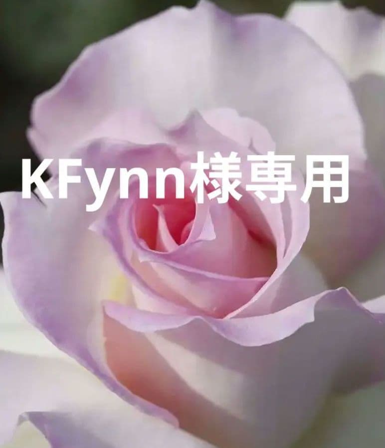 極美品 CABAN カシミヤカーディガン ベージュ　XS