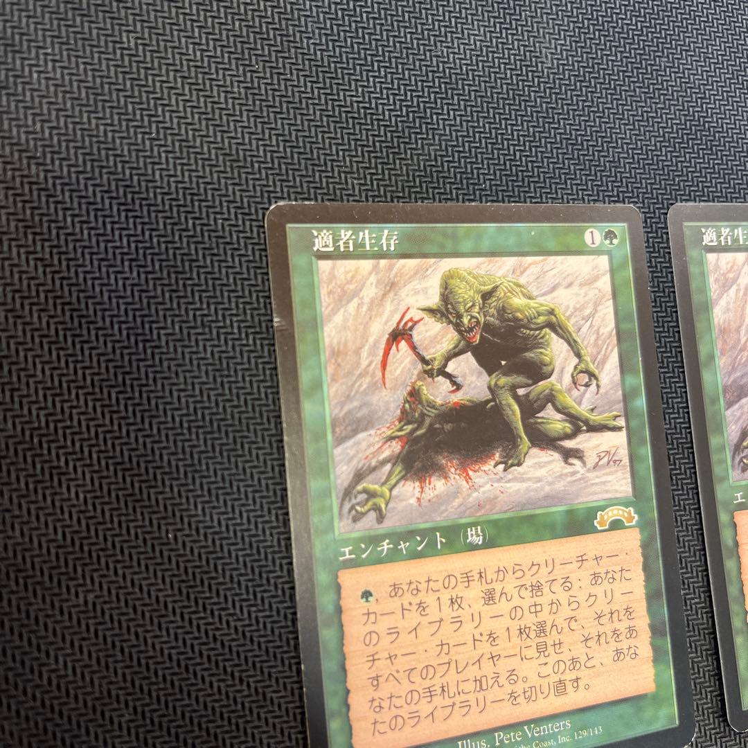 mtg 適者生存 2枚セット