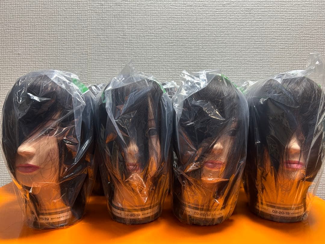 ぽちゃま 美容国家試験 カットウィッグ