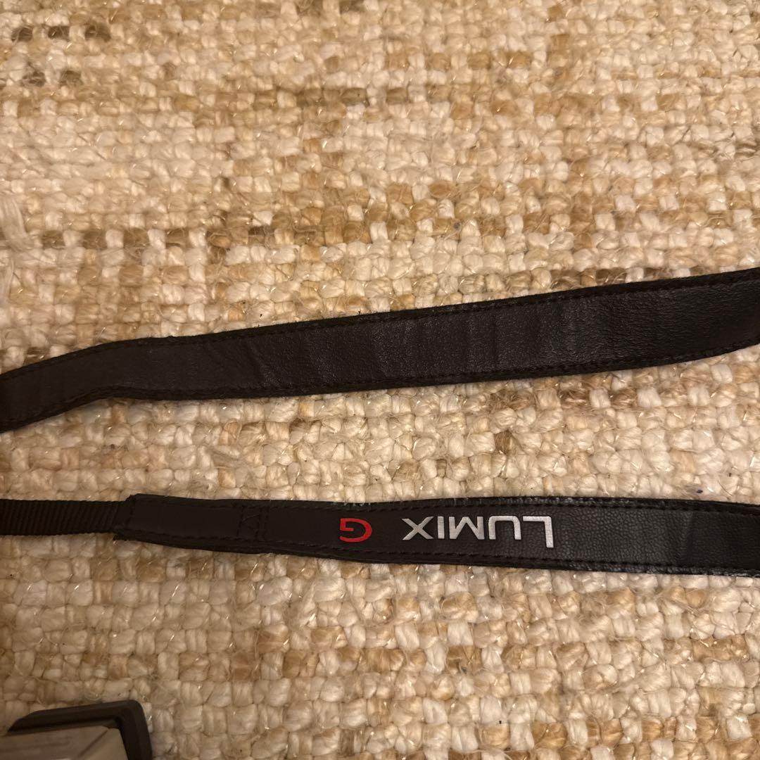 Panasonic DMC-GX7 ミラーレスカメラ