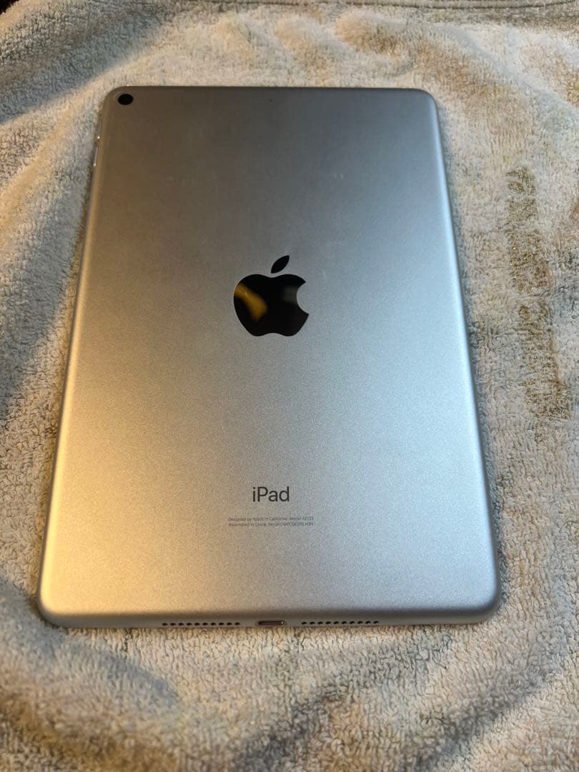 iPad mini (第5世代)