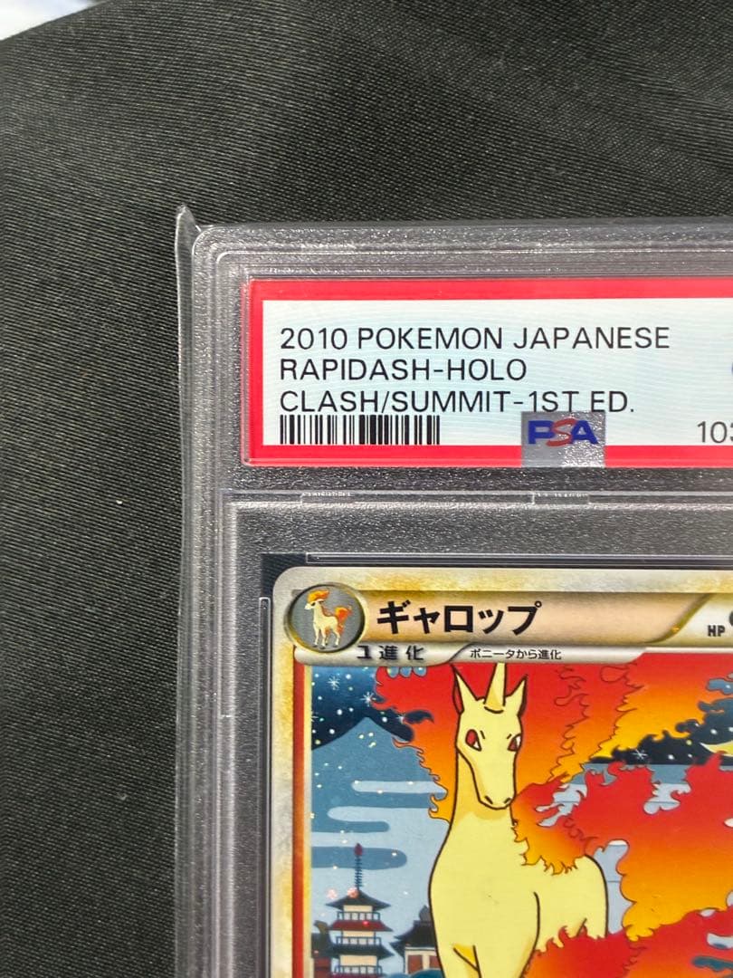 世界154枚 PSA10 ギャロップ ホロ 2010 011 16