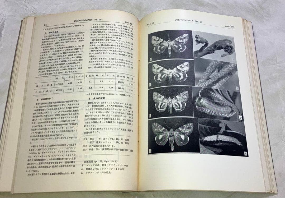 日本鱗翅目同好会 会報1967年～1974年ファイリング 研究者用 調査資料