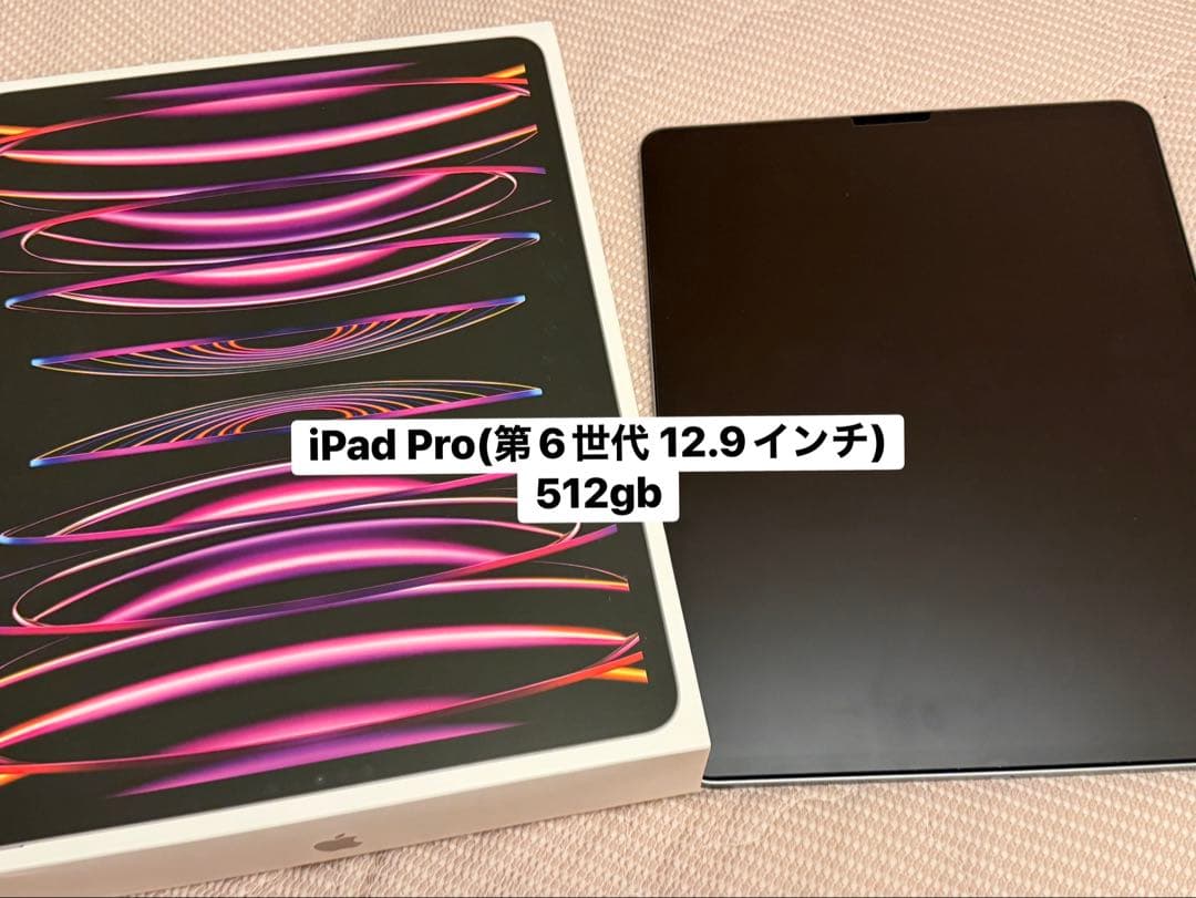 iPad Pro(第6世代 12.9インチ) 512gb