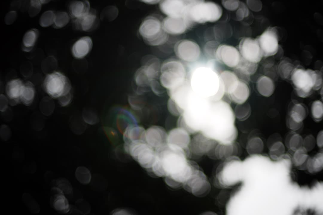 【美品】ニコン Ai-s Nikkor 50mm F1.4 大口径 643