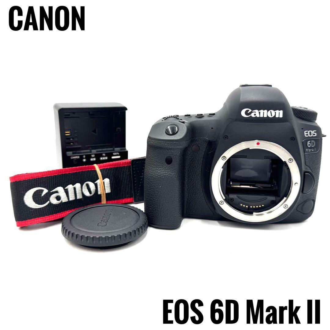 未使用級！Canon キャノン EOS 6D Mark II 2 ボディ