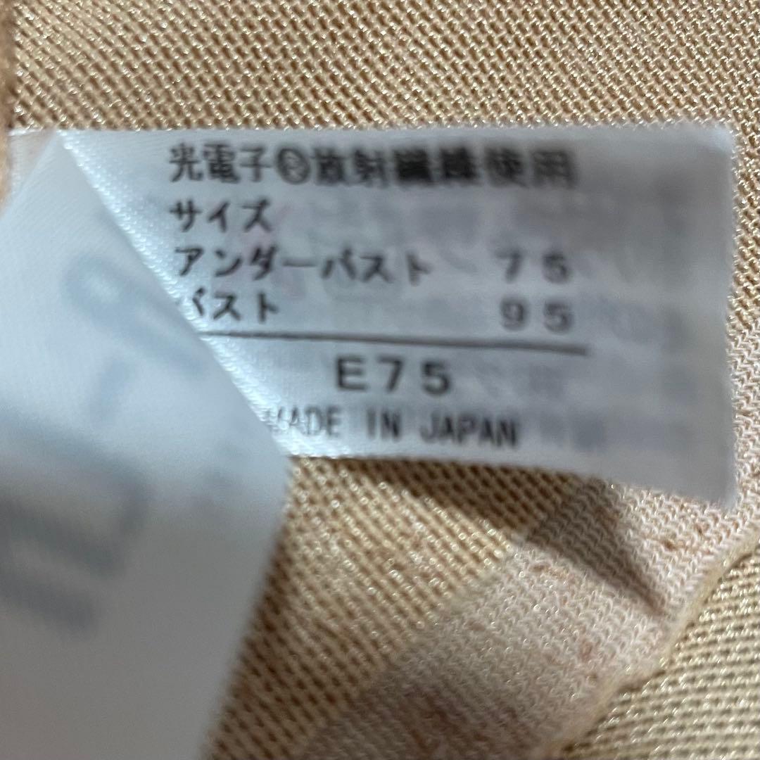 グラントイーワンズ ニッパービスチェ補正下着　ベイビーピンクベージュ E75