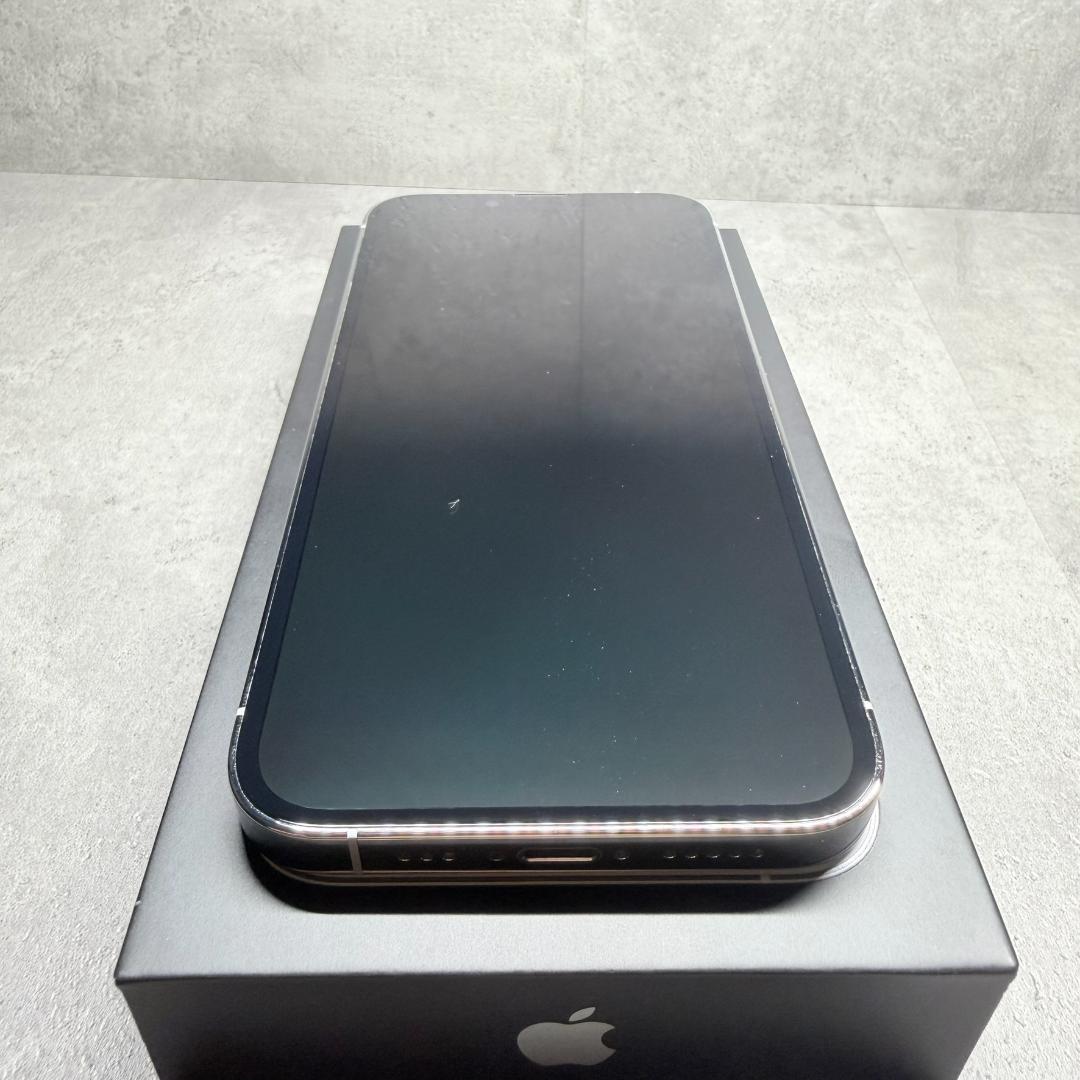 美品 Apple iPhone 13 Pro 256GB　シルバー　付属品完備