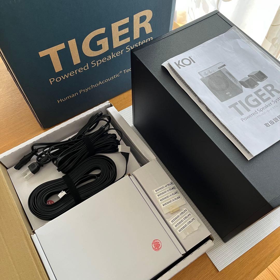 【付属品全揃い】KOI TIGER パワードスピーカーシステム
