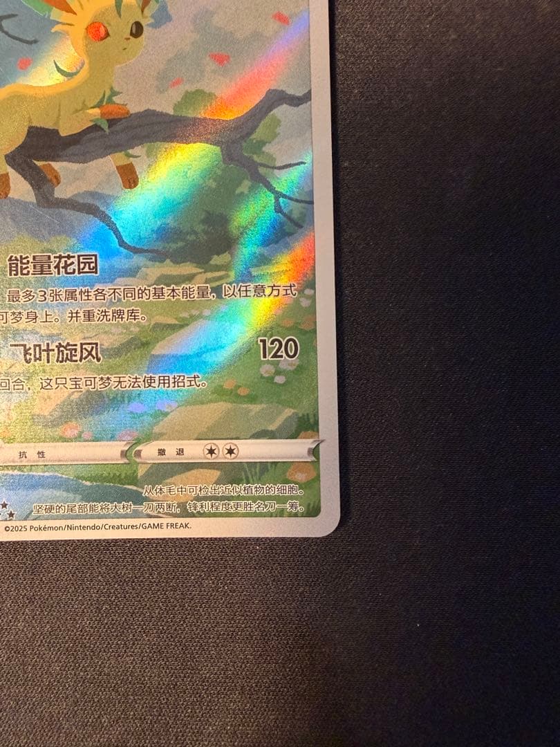 リーフィア AR 中国語版