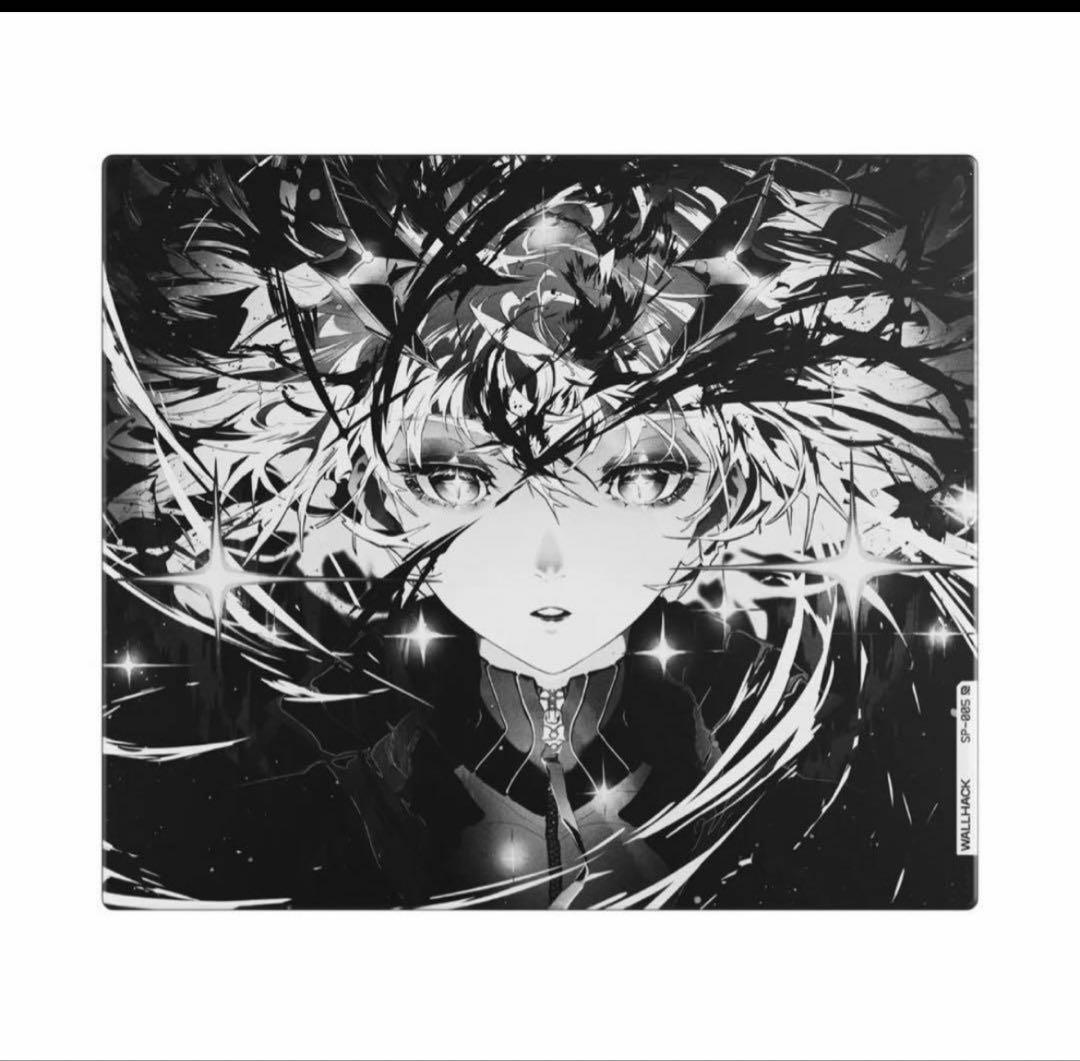 セール中新品未使用開封済wallhack sp005 aweaking sora