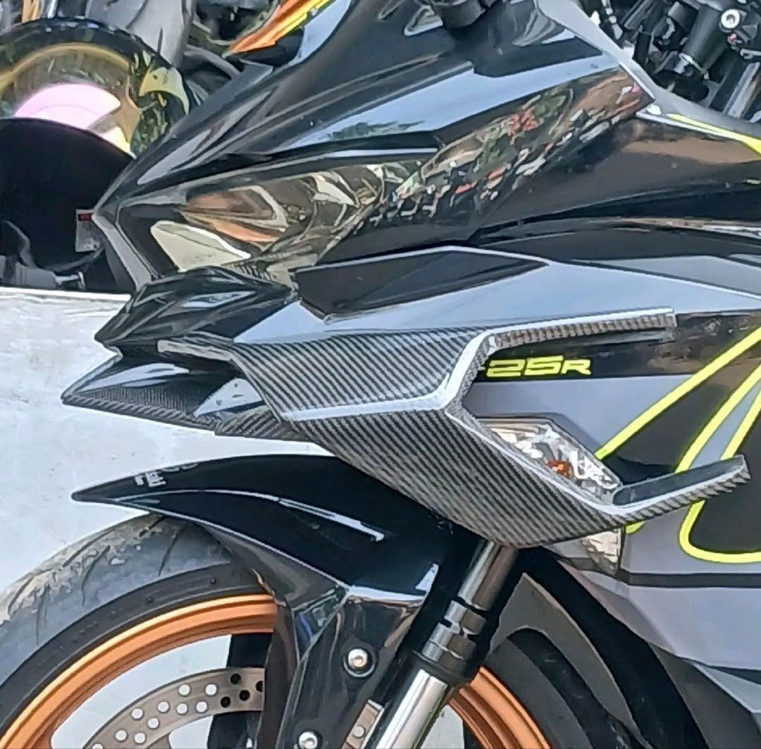 ZX25R/ZX4RR サイドウイングレット(tubaki)