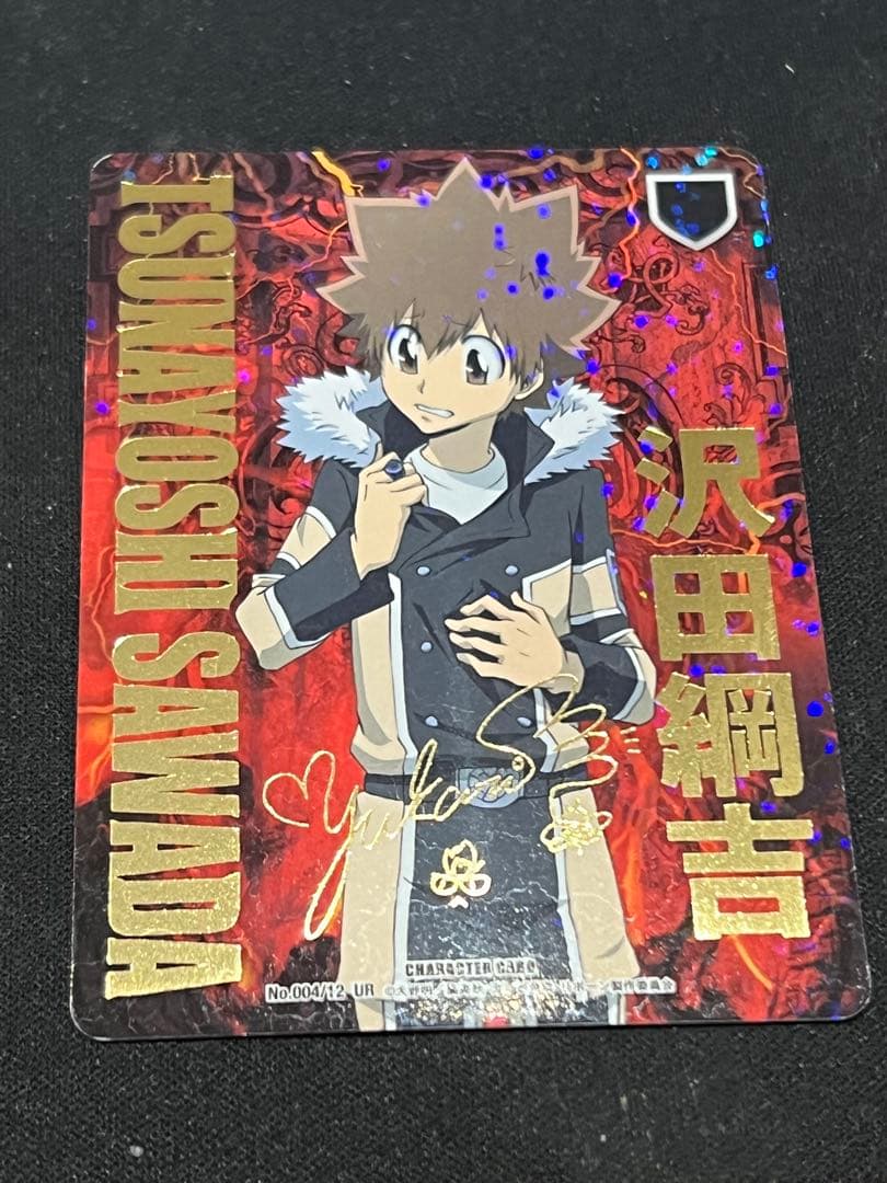 家庭教師ヒットマンREBORN! CCG 　沢田綱吉 サイン入り