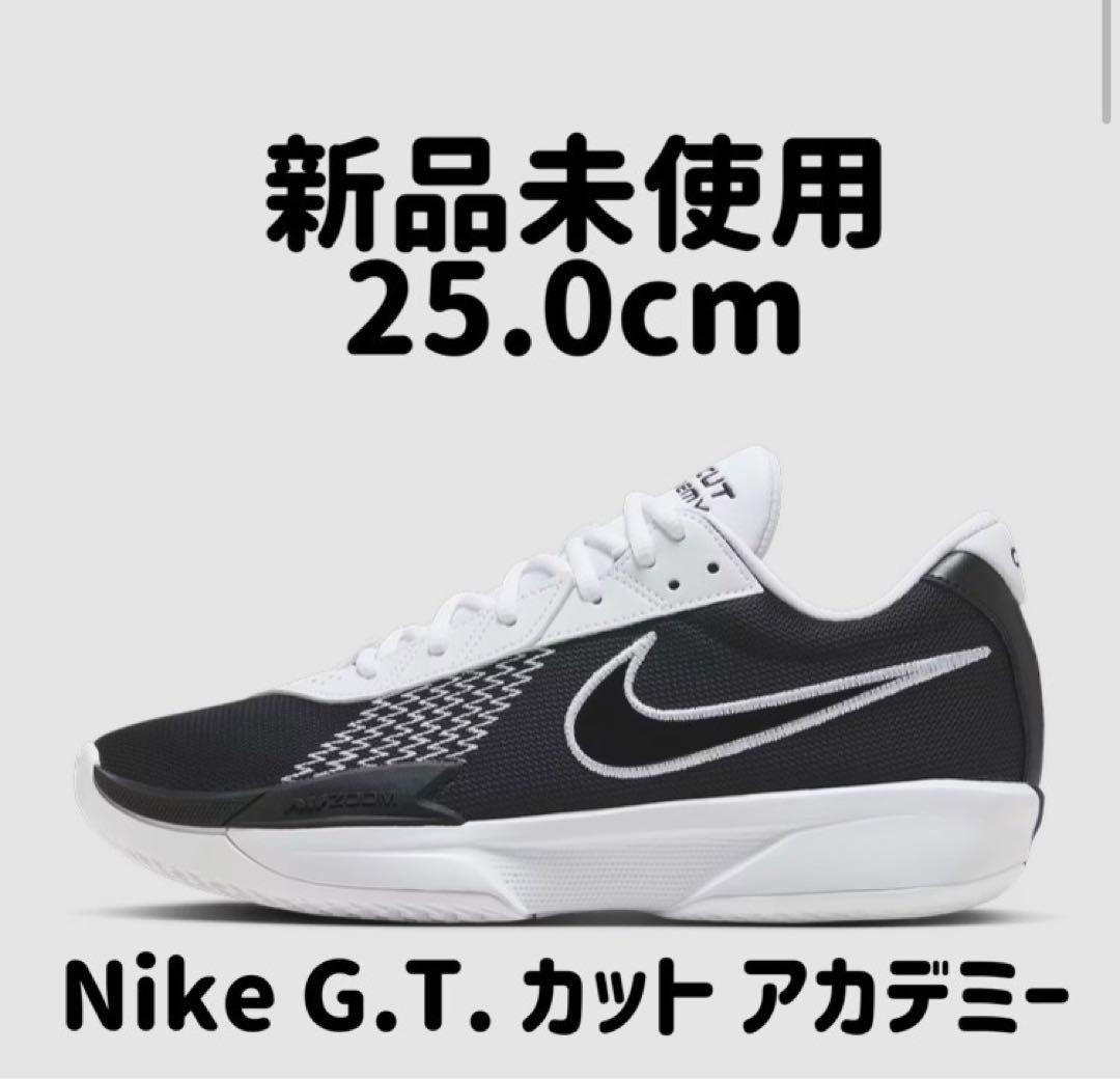 Nike AIR ZOOM G.T. カット アカデミー 25cm 新品未使用