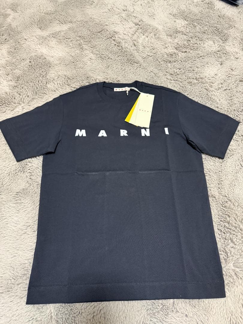大人もOK！マルニ　キッズTシャツ　12Y 150cm 新品