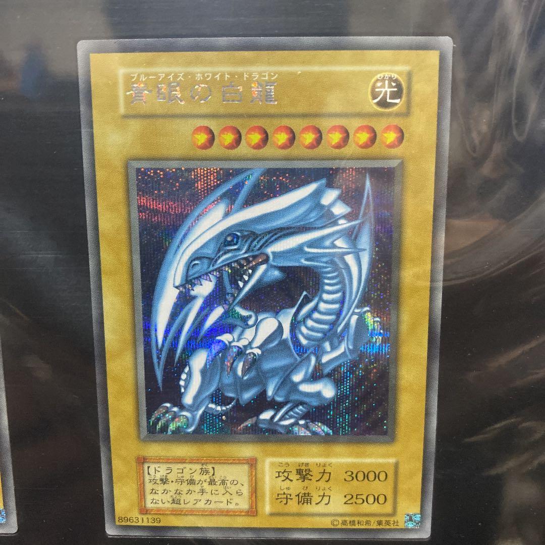 遊戯王　5つ目あり　青眼の白龍　シクブル3枚