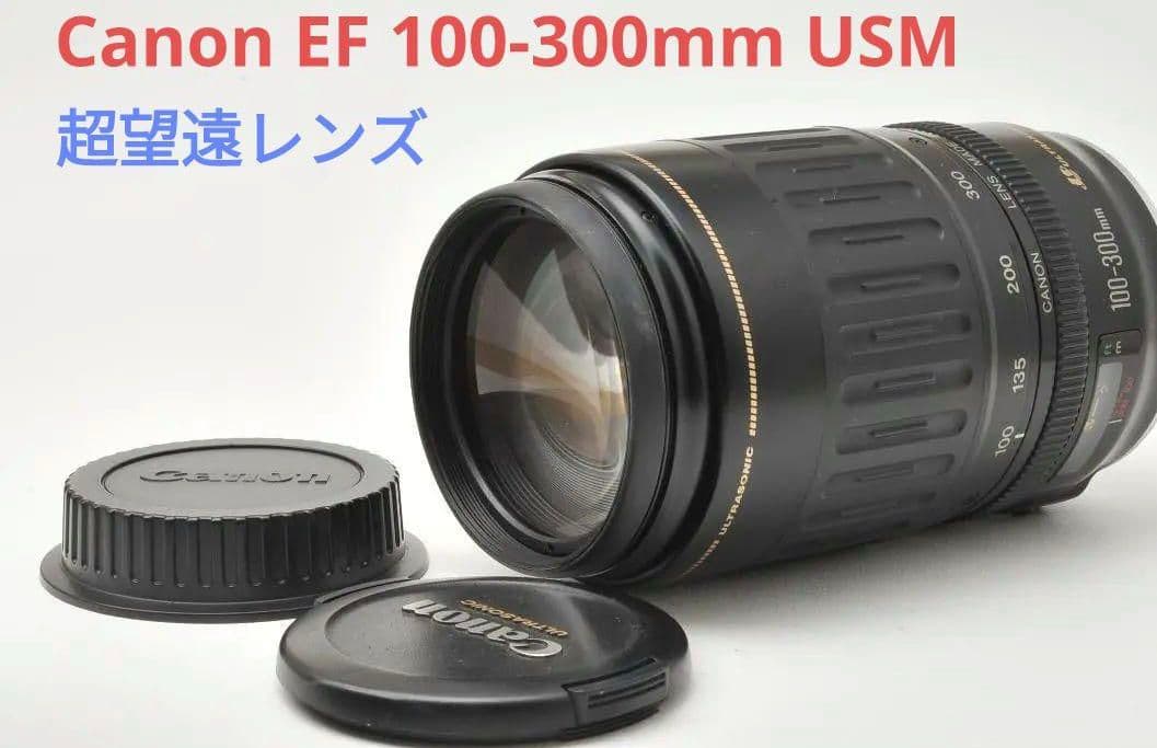 1月20日限定価格♪Canon EF 100-300mm USM