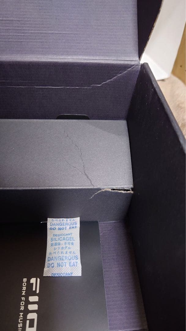 Fiio FT1 PRO + ONIX Alpha XI1 ケース付き +オマケ