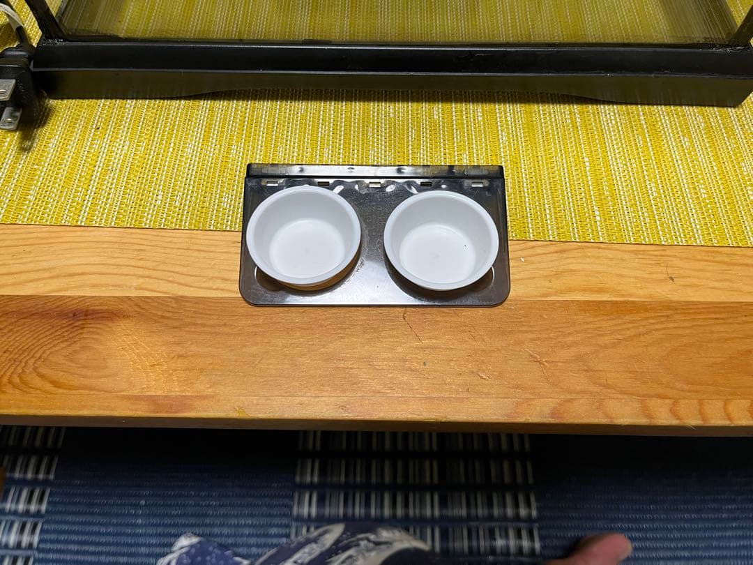 ジェックス エキゾテラ　グラステラリウム　3045 他付属品